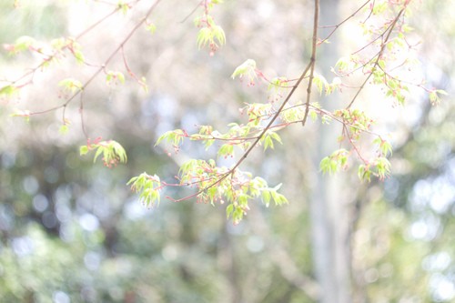 情人节送男朋友什么礼物好（情人节送男朋友什么礼物好看）