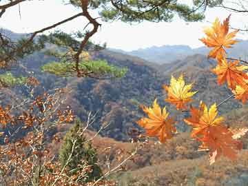 重庆富豪排行榜（重庆富豪排行榜前50）